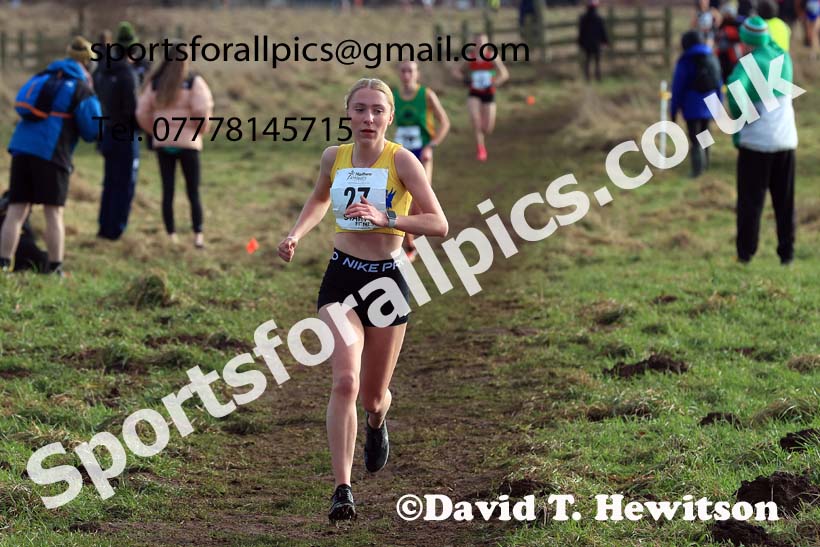 Junior Womens 2024 Northern Cross Country Champs., Sedgefield. Photo: David T. Hewitson/Sports for All Pics